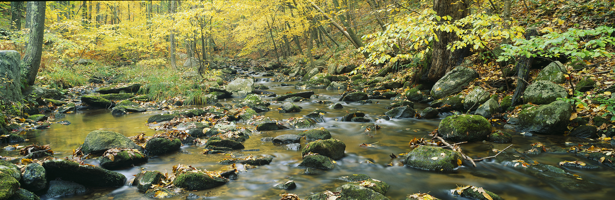Macedonia Brook State Park Campground Visit CT