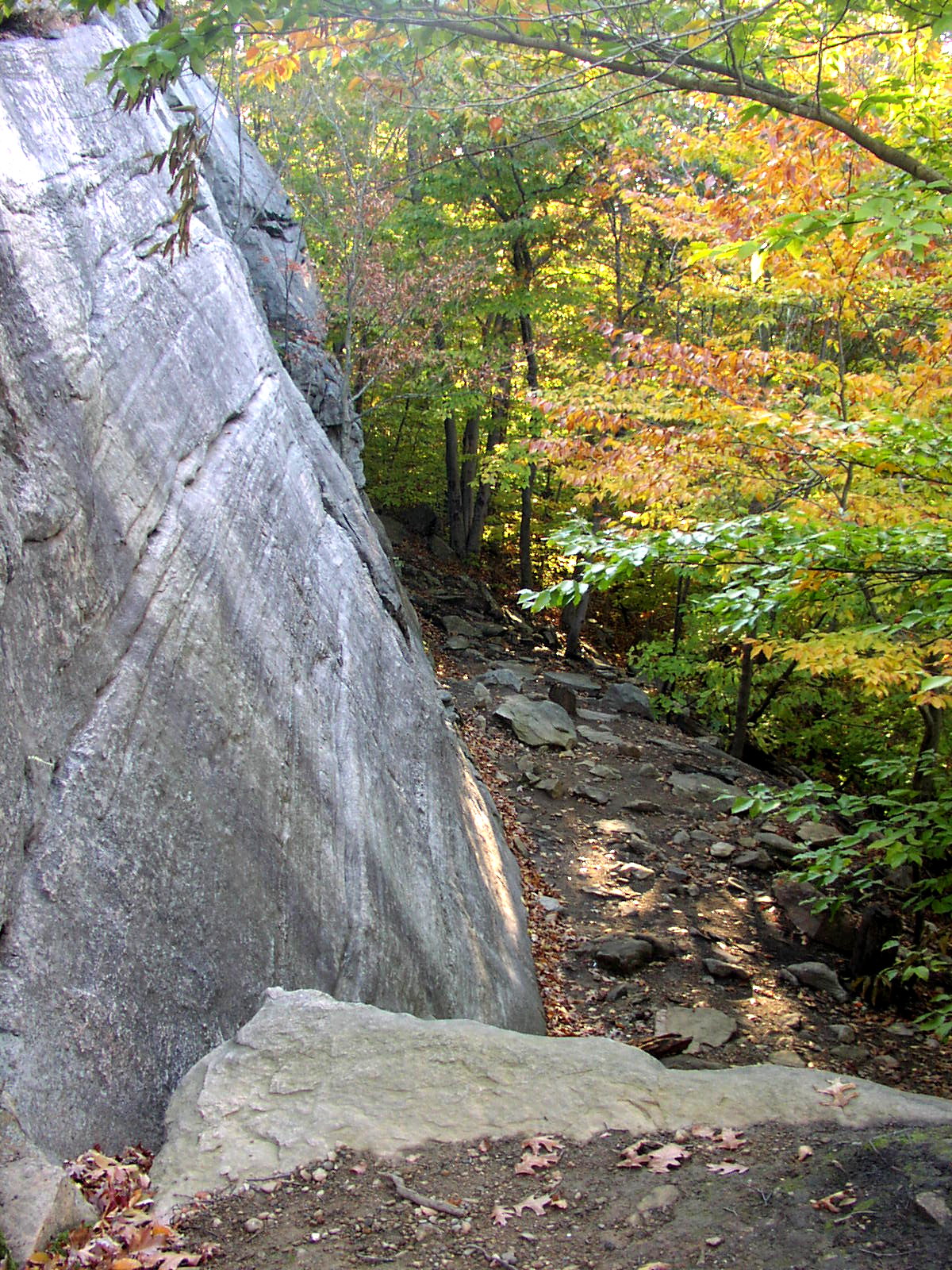 Nipmuck State Forest Visit CT