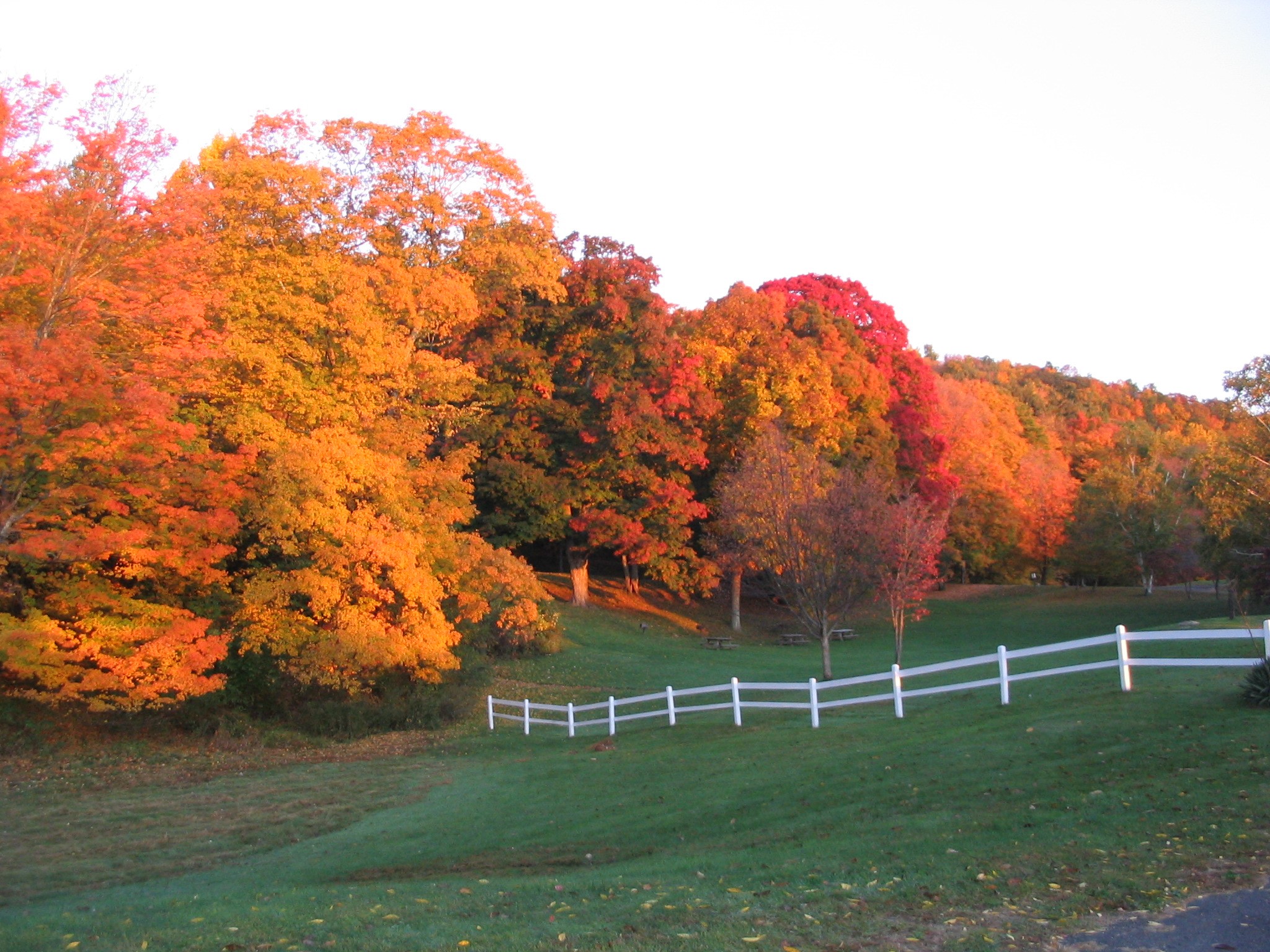 Penwood State Park | Visit CT