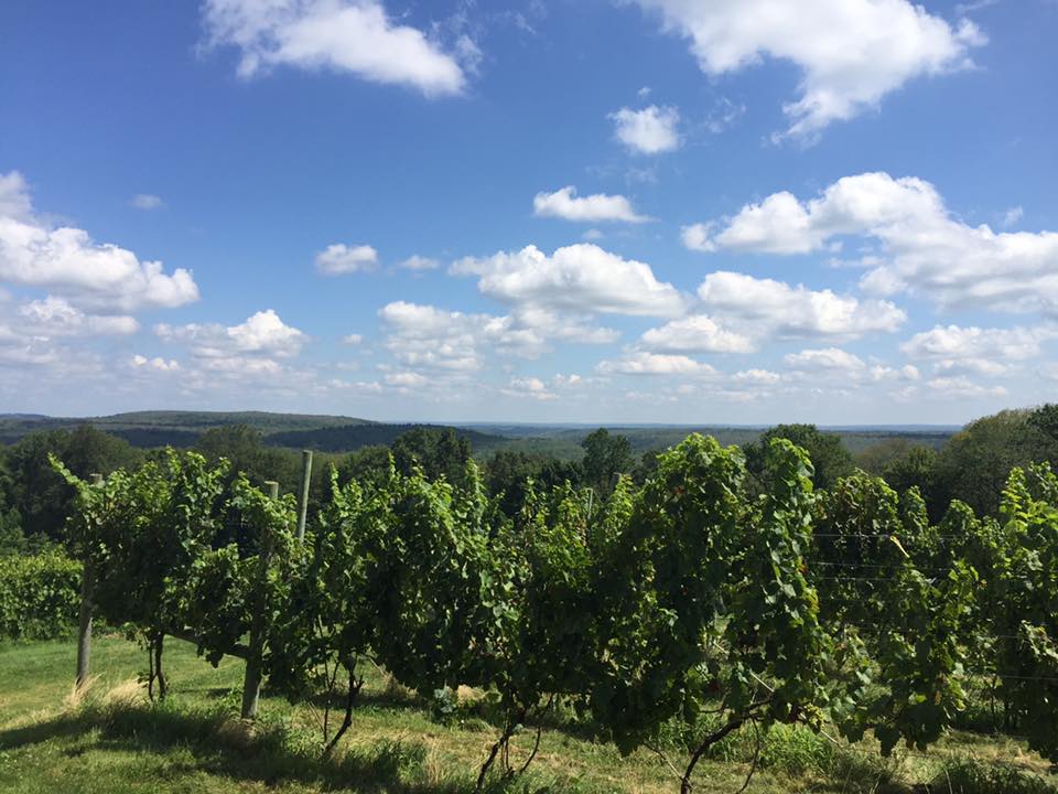 Town of Pomfret Visit CT