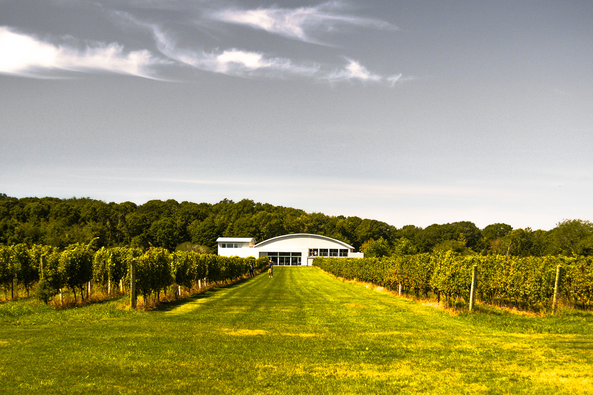 Saltwater Farm Vineyard Visit CT