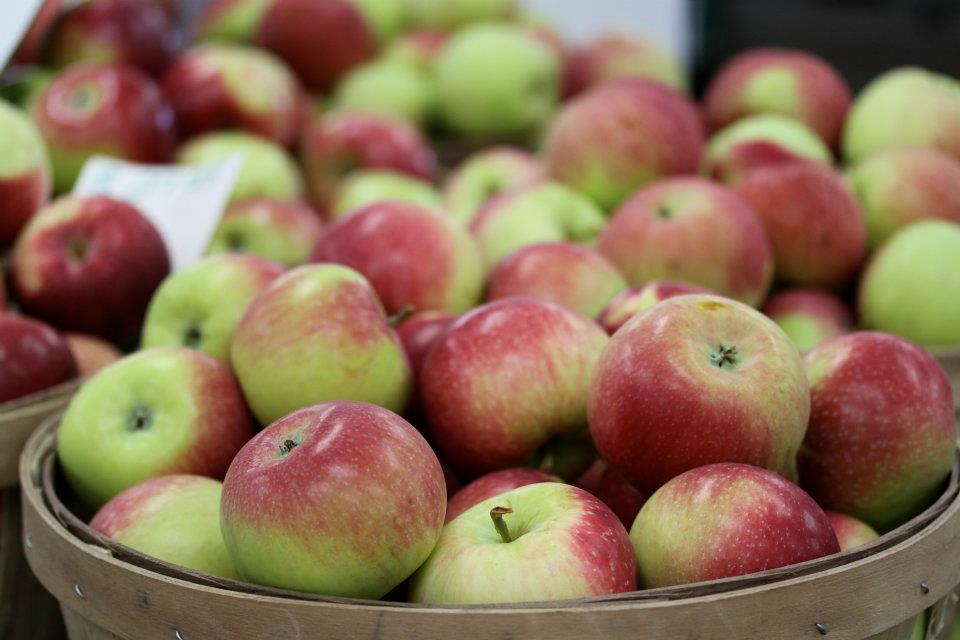 Apple Picking in CT Visit CT