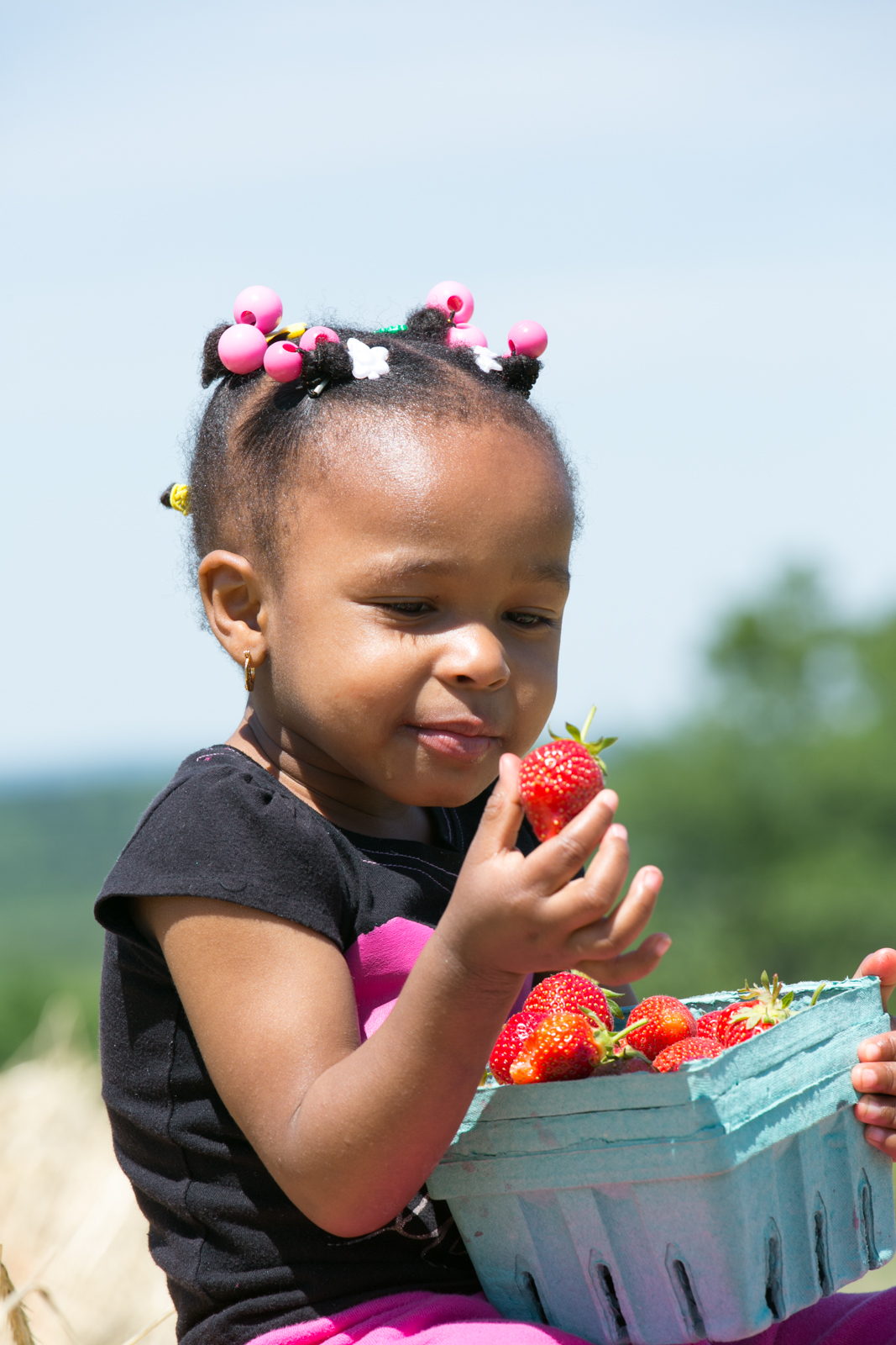 Strawberry Festival Visit CT