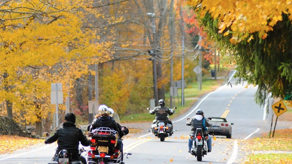 group of motorcycles on a country road, yellow fall leaves