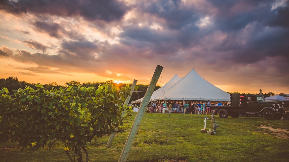 max farm to table