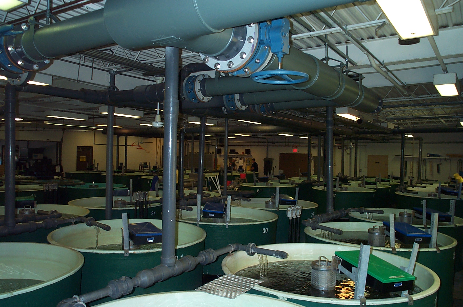 Quinebaug Valley Trout Hatchery Visit CT