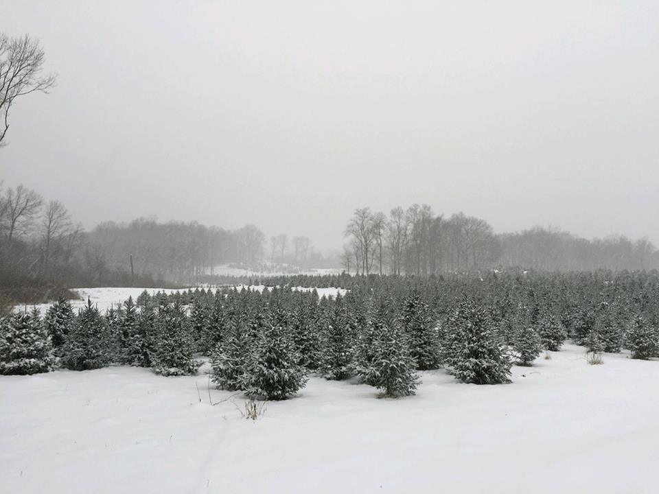 Town of Easton Visit CT