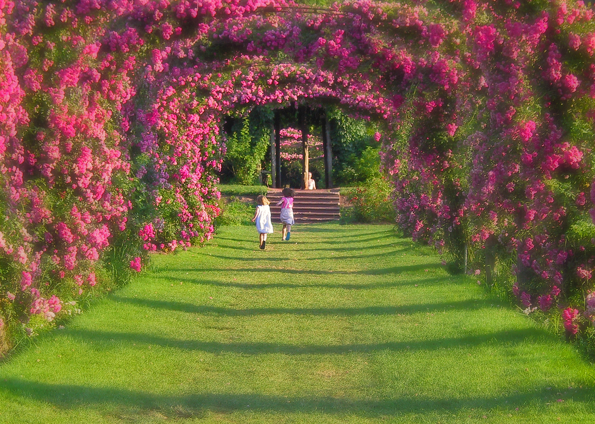 Elizabeth Park Rose Garden Wedding