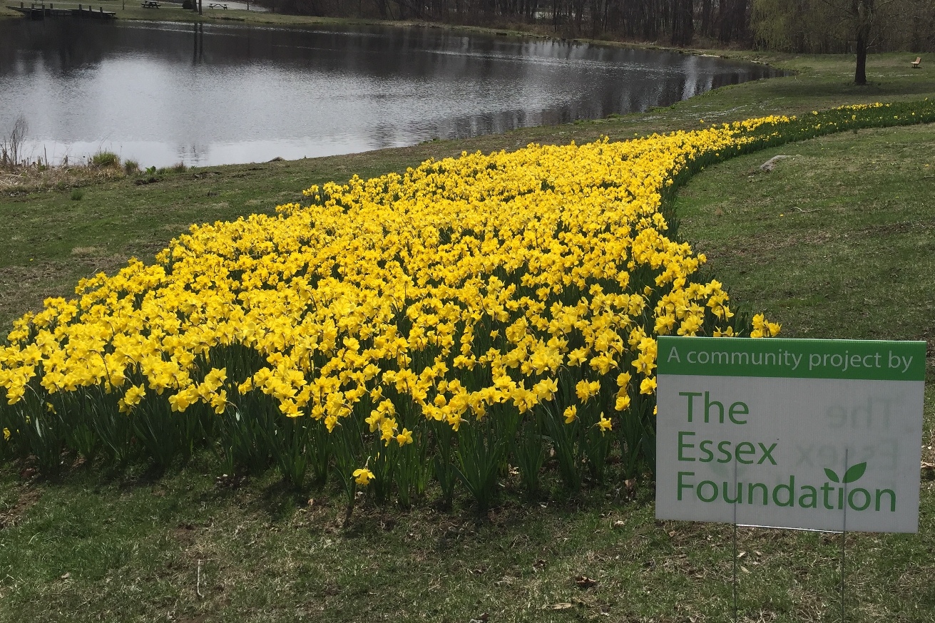 Town of Essex Visit CT