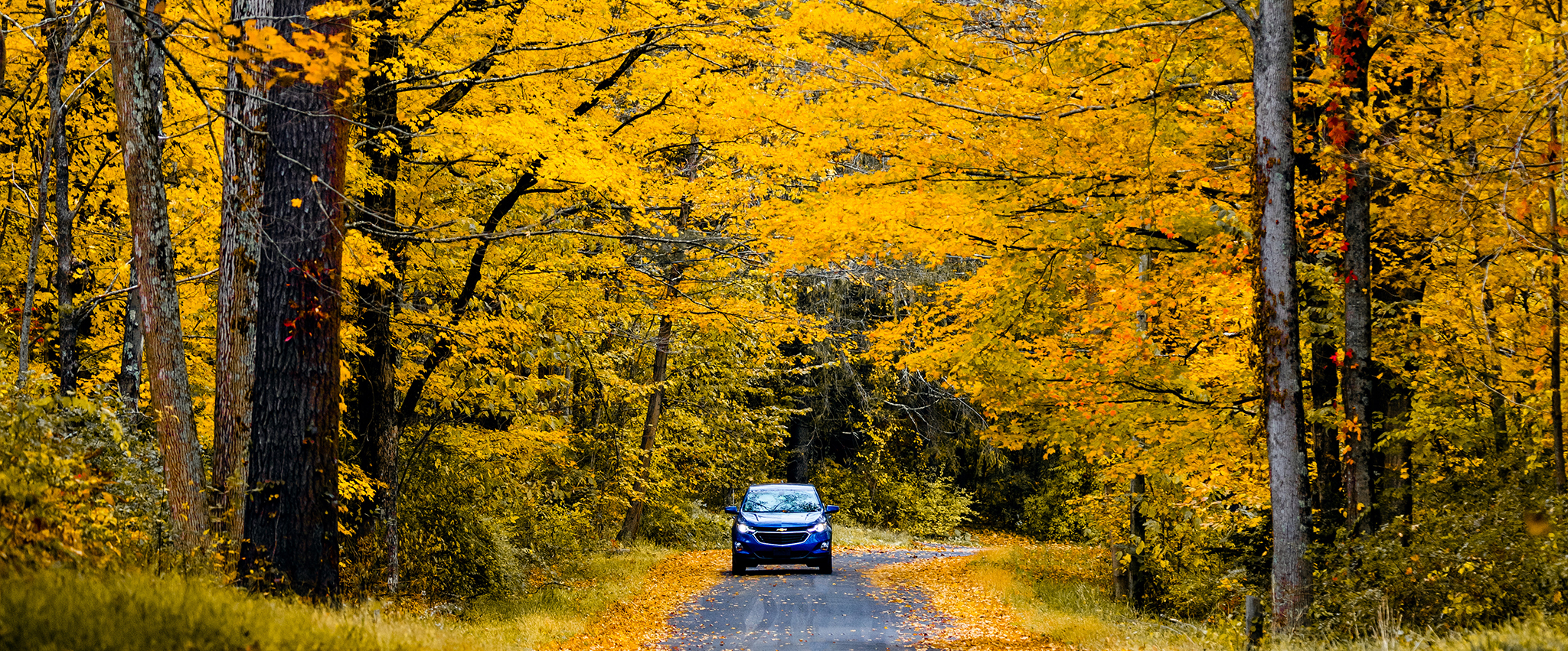 fall foliage tours connecticut