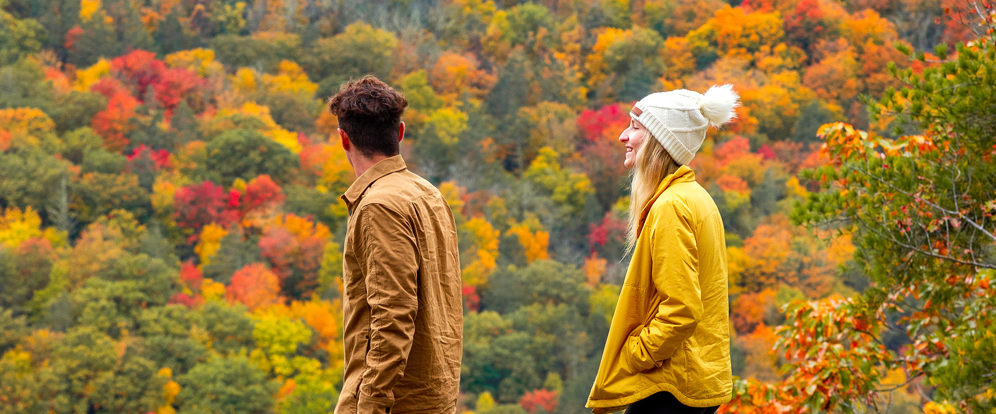 fall foliage tours connecticut