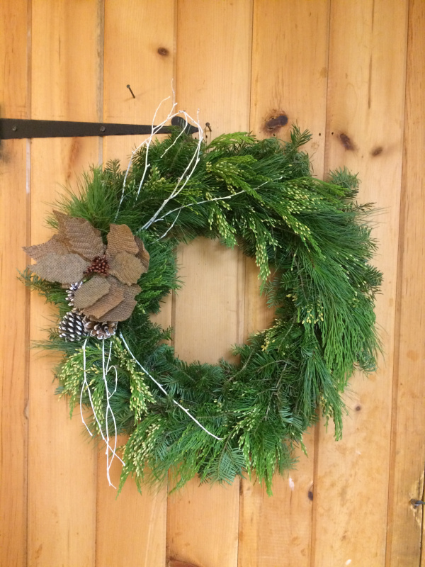 Maple Hollow Christmas Tree Farm Visit Ct
