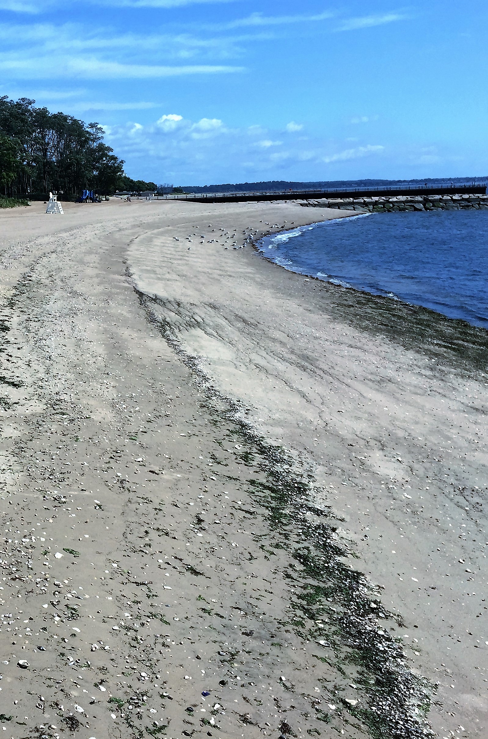 Oak Street Beach Visit Ct Oak Street Beach Visit Ct