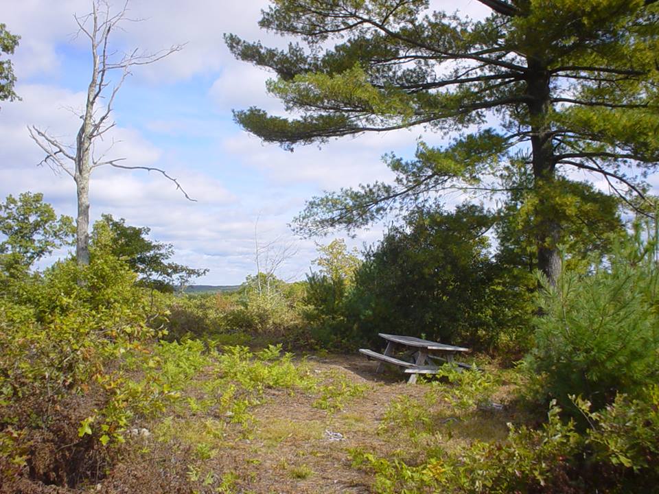Pachaug State Forest Campgrounds | Visit CT