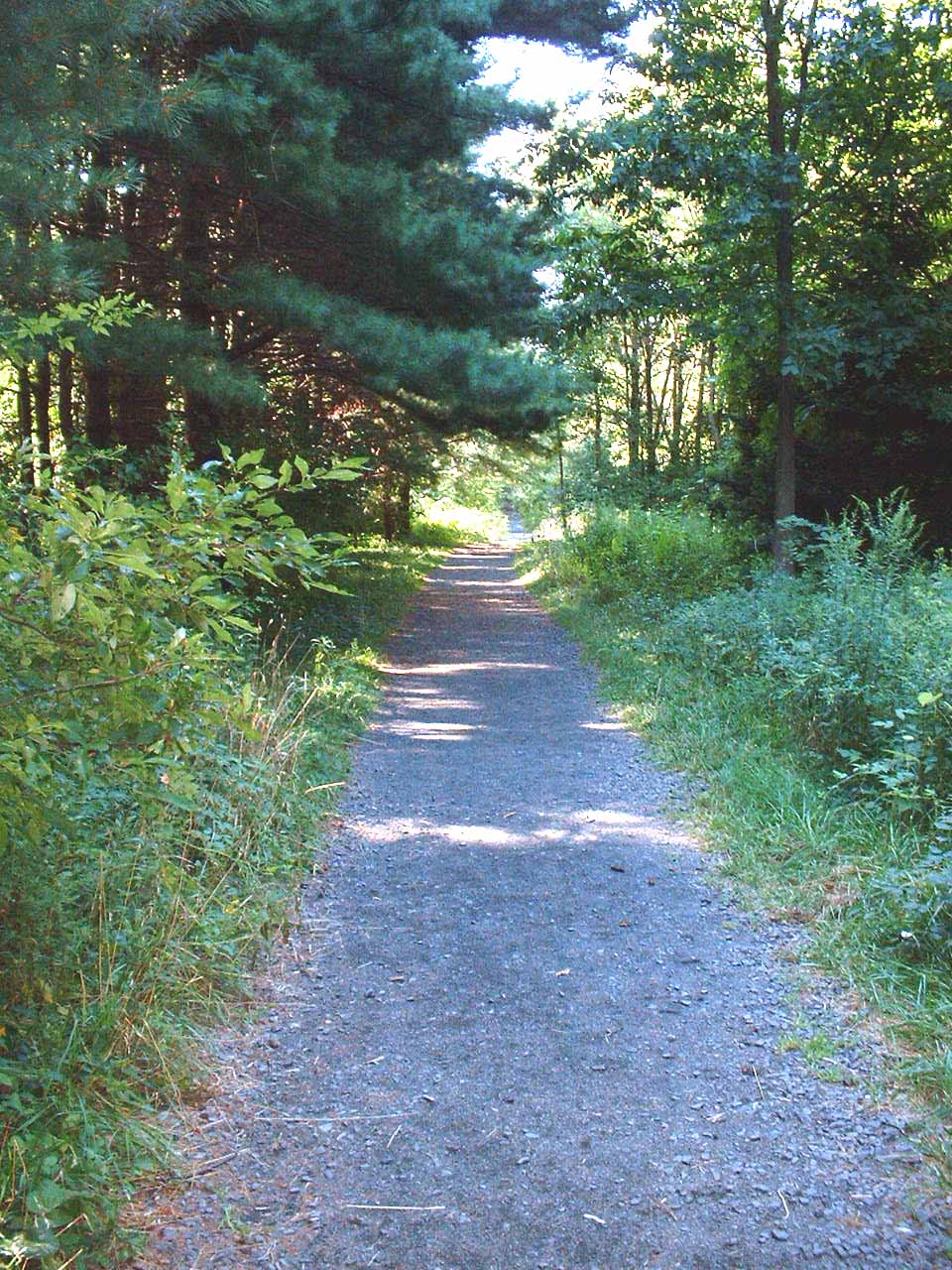 West Rock Ridge State Park Visit