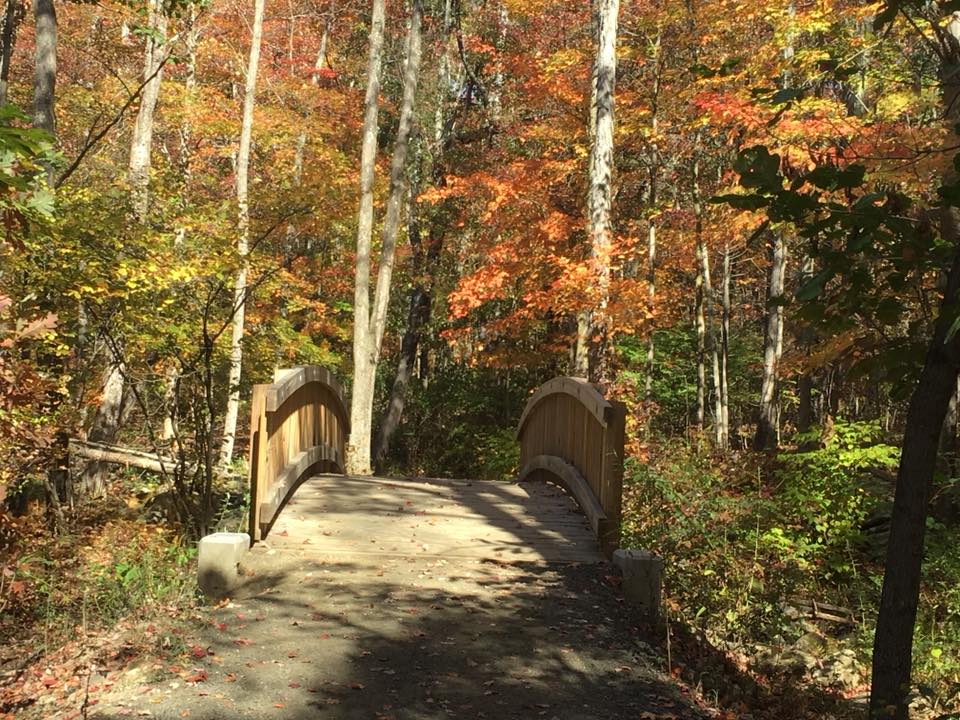 Town of Wolcott Visit CT