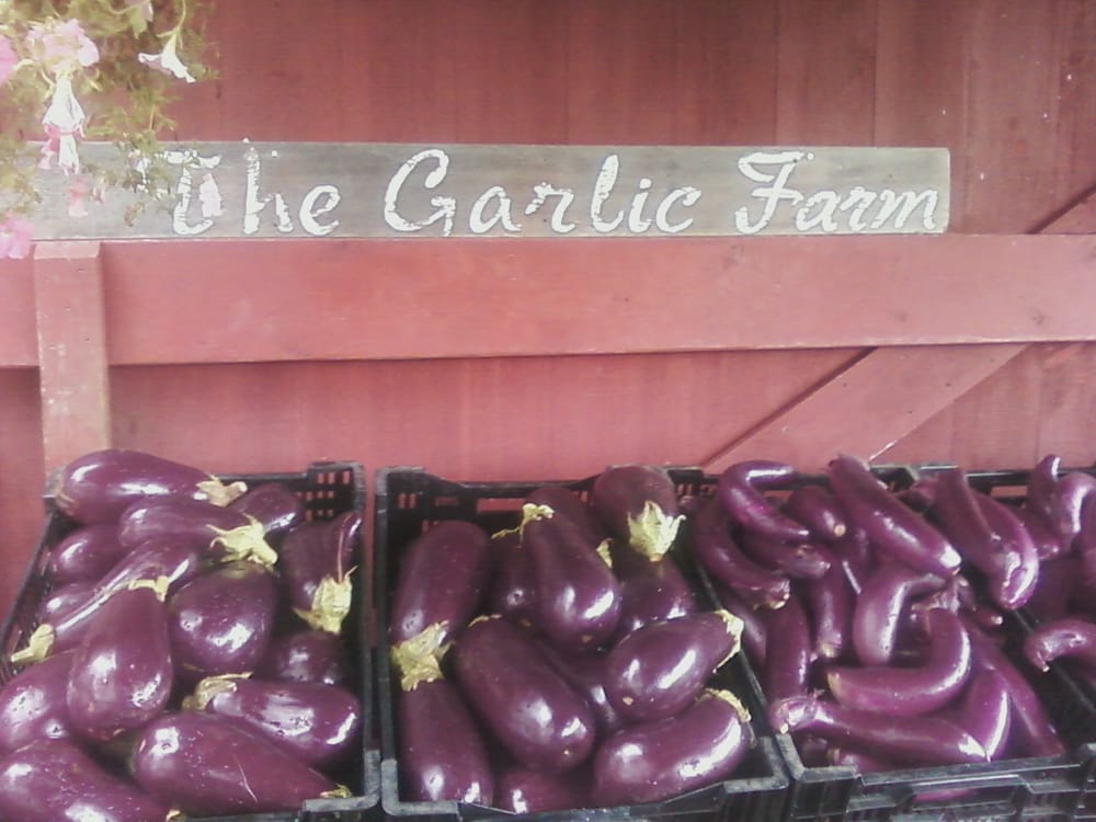 The Garlic Farm Visit CT