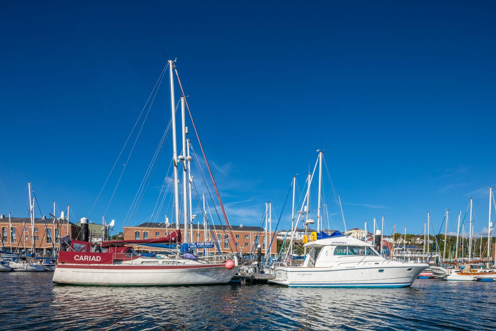 Milford Harbor Marina Visit CT