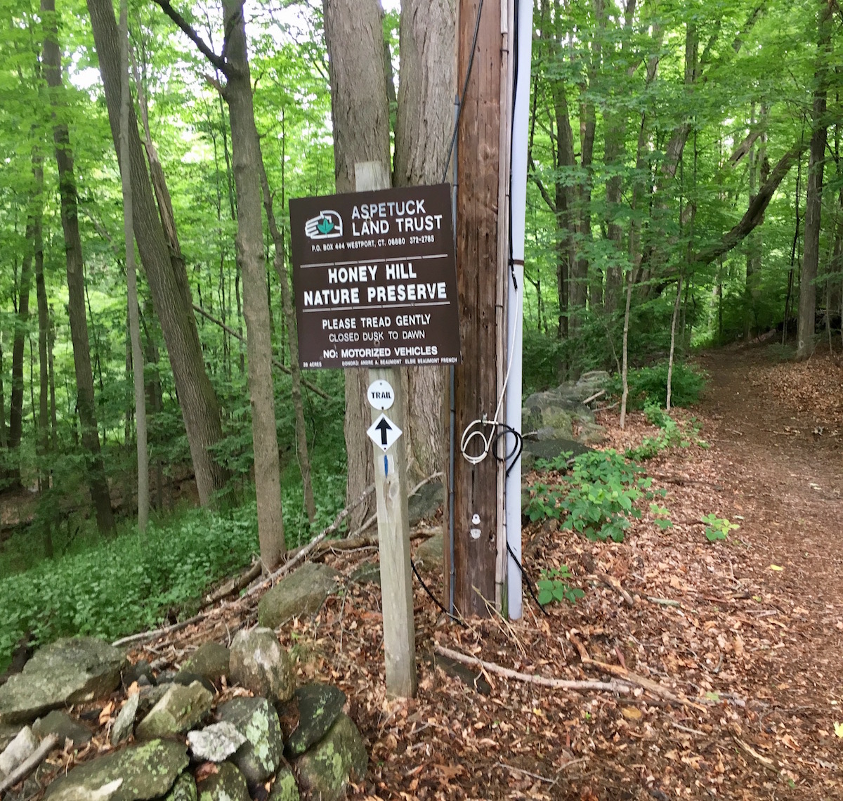 Honey Hill Nature Preserve Visit CT