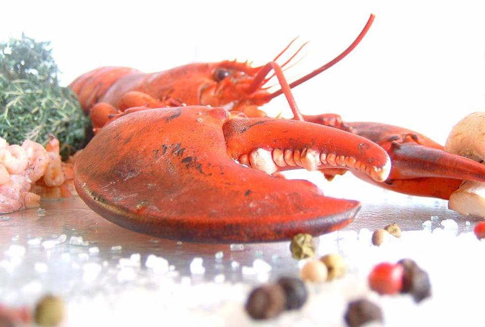 Scribner's Restaurant Visit CT