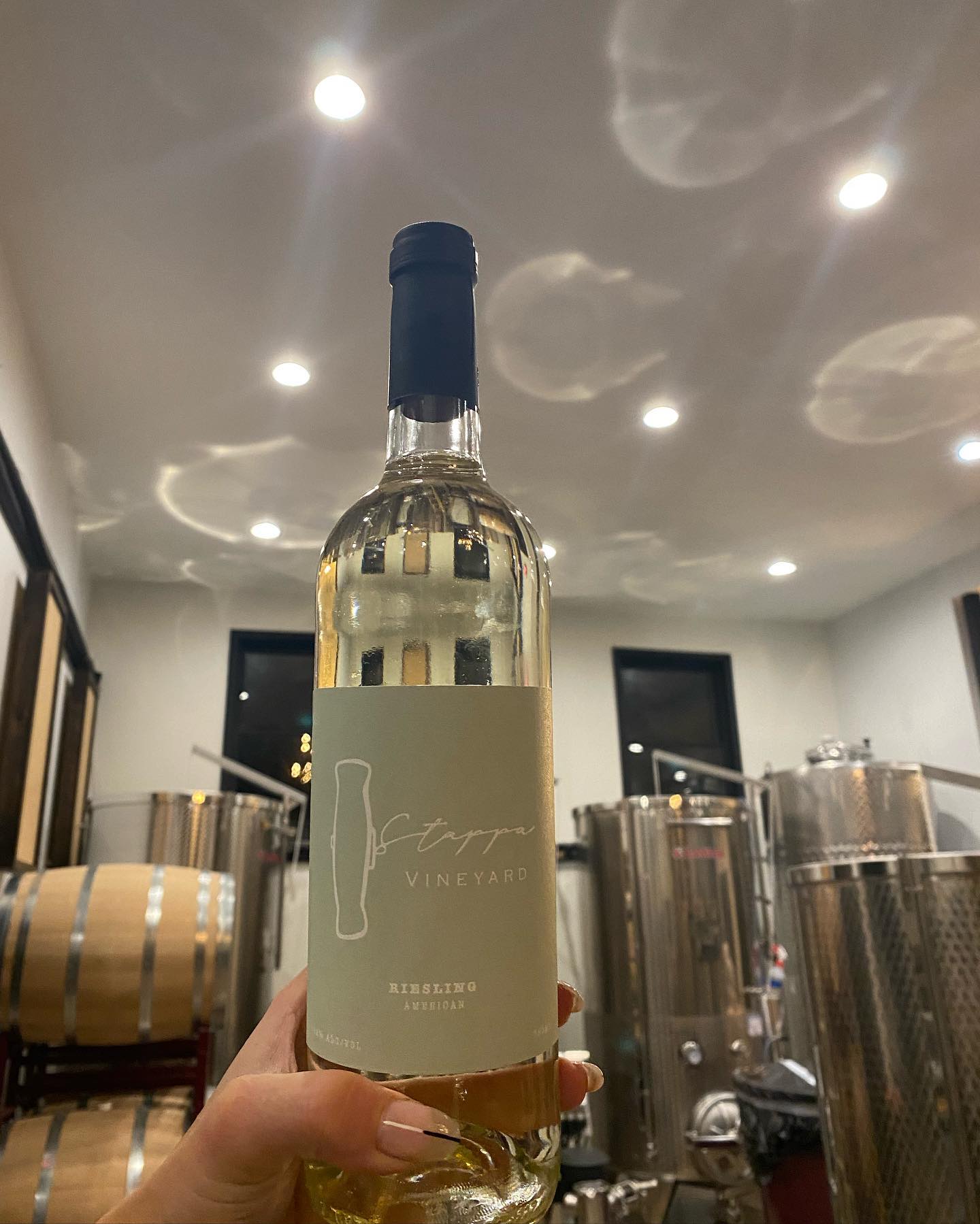 Stappa Vineyard Visit CT