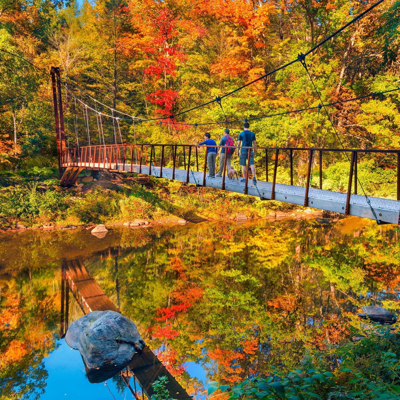 Group hiking over suspended bridge in peak Fall
