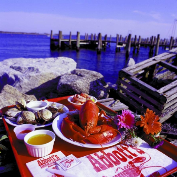 Abbott's Lobster in the Rough CTvisit