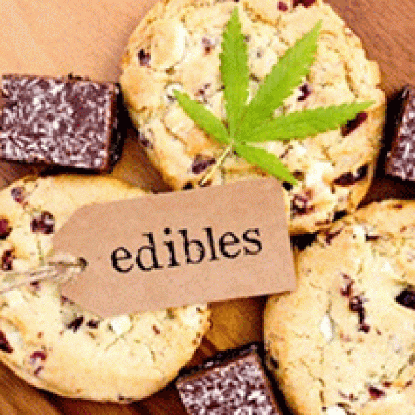 Budding Business Legal Cannabis in Connecticut CTvisit