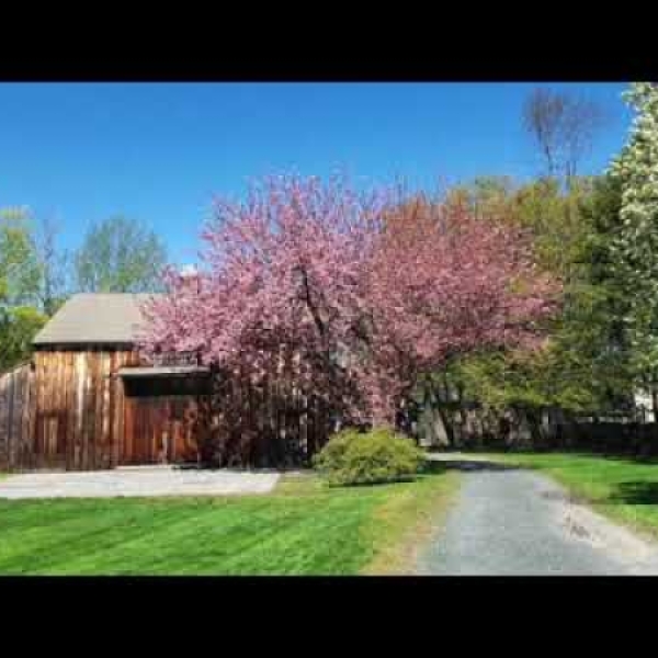 Town of Wethersfield CTvisit