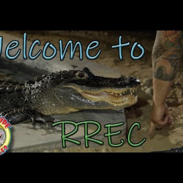 Riverside Reptiles Education Center CTvisit
