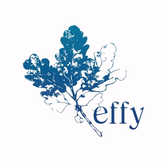 environmental film festival Yale