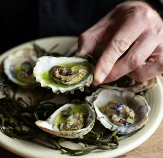 club de ostras