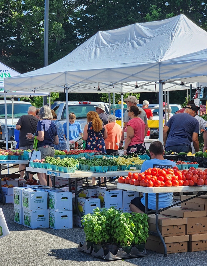 The Bristol Farmers Market CTvisit